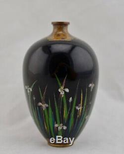 Meiji Japanese Cloisonne enamelled silver wire Iris vase by Hayashi Kodenji
