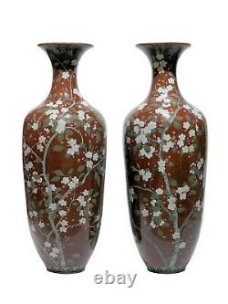 Meji Japanese Cloisonne Vases Depicting Sakura - 34 in, 86 cm