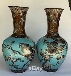 PAIR of 18 Japanese Cloisonné Vases Tiffany Blue With Birds, Cherry Blossoms