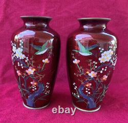 Pair (2) Japanese Cloisonne Pigeon Red Vases with Cherry Blossom & Birds 7.25