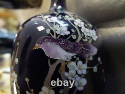 Pair Cloisonne Vases Japan Meiji Um 1900 Miniaturvasen 15 CM High