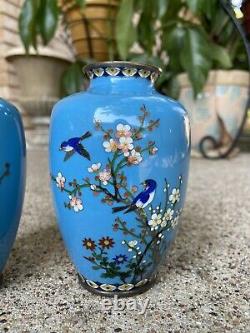Pair Of Antique Japanese Blue Cloisonne Vases With Birds