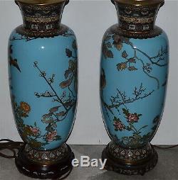 Pair Very Large Antique Japanese Cloisonne Vases Electrofied Lamps Birds