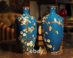 Pair of Japanese Meiji Vases Wired Cloisonné Maple Tree Daisies Exc Cond