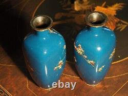 Pair of Japanese Meiji Vases Wired Cloisonné Maple Tree Daisies Exc Cond
