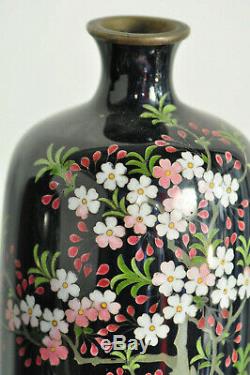 Paire de vases Japon Cloisonne enamel Meiji Japanese Vase Signed Mark Miwa Meiji