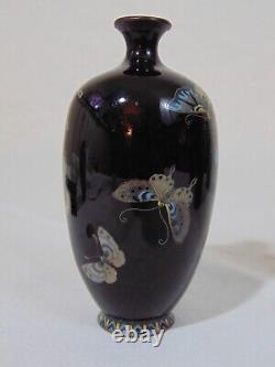RARE Black Japanese 19th C Meiji SUPER Micro Cloisonne Vase Butterflies Moth