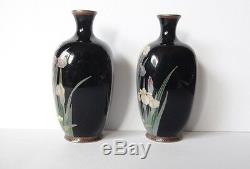 Rare Antique Meiji Japanese Silver Wire Cloisonne Miniature Vase Iris Flowers