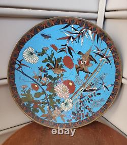 Rare Birds of Prey Early Japanese Cloisonne Charger Plate, Birds and Flowers