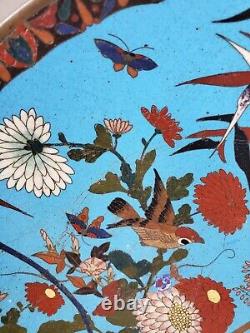 Rare Birds of Prey Early Japanese Cloisonne Charger Plate, Birds and Flowers