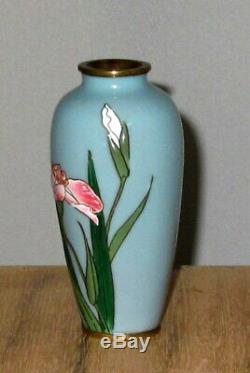 Rare Meiji Japanese Moriage Cloisonne Enamel Vase with Iris
