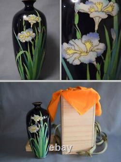 Stunningly Depicted Iris Flowers on Japanese MEIJI Cloisonné Enamel Vase 310