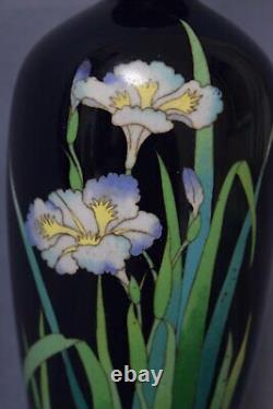 Stunningly Depicted Iris Flowers on Japanese MEIJI Cloisonné Enamel Vase 310