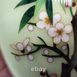 Vtg Japanese Celadon Cherry Blossom Cloisonne Vase, Unsigned, Ando Jubei STYLE